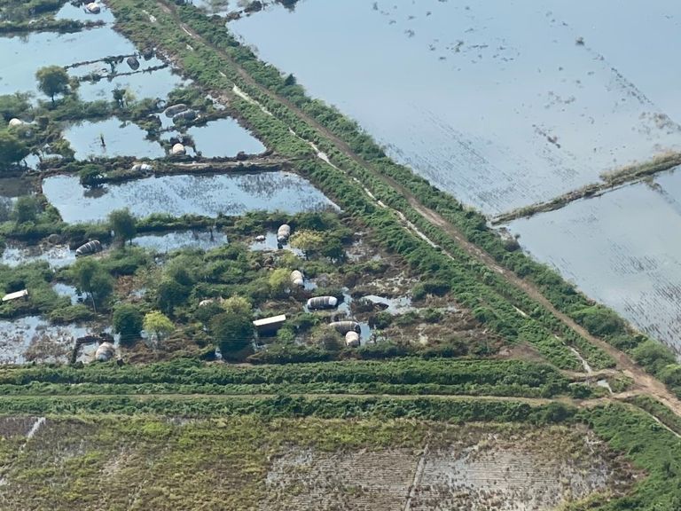 الفيضانات تعيد الحياة لبحيرة هارومايا الإثيوبية