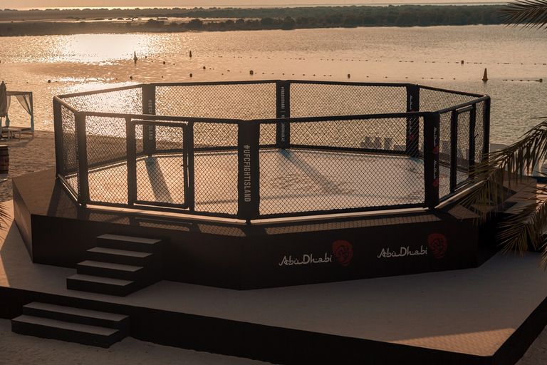 منافسات يو إف سي