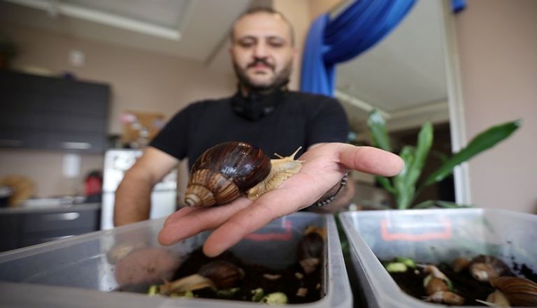 مركز للتجميل بالعاصمة الأردنية عمان، يقدم سهيل سويدان (34 عاماً)، طرقاً للعناية بالبشرة وتجميل وجوه النساء، حيث يضع الحلزون الأرضي الأفريقي العملاق على وجوه زبوناته على وعد بأن المخاط الذي يفرزه الحلزون بشكل طبيعي سوف يجدد شباب بشرة وجوههن مركز للتجميل في الأردن يستخدم الحلزون للعناية بالبشرة