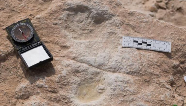 علماء يكتشفون آثار أقدام تعود إلى 120 ألف عام في السعودية
