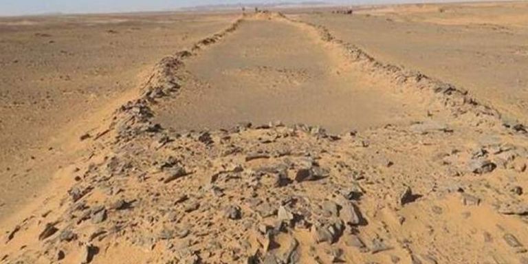 علماء يكتشفون آثار أقدام تعود إلى 120 ألف عام في السعودية