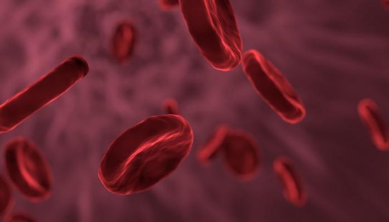 متغير وراثي في خلايا الدم الحمراء يحمي من الملاريا