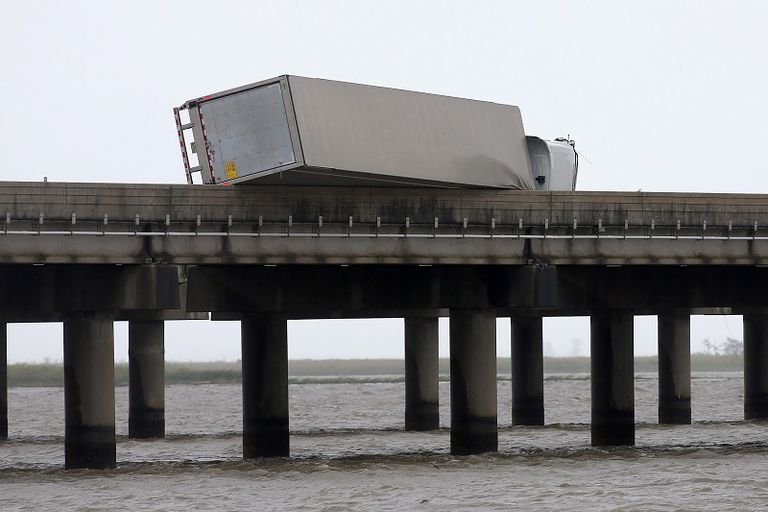 التماسيح بدأت تظهر أمام منازل الأمريكيين بسبب الإعصار سالي