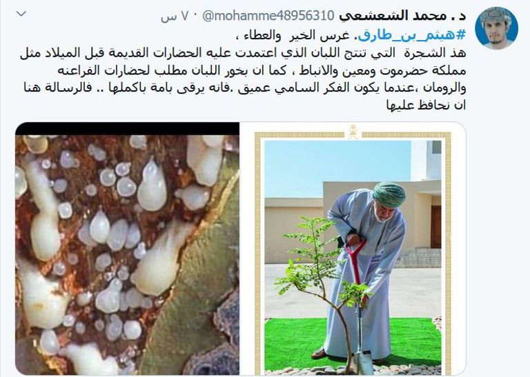 سلطان عمان هيثم بن طارق آل سعيد