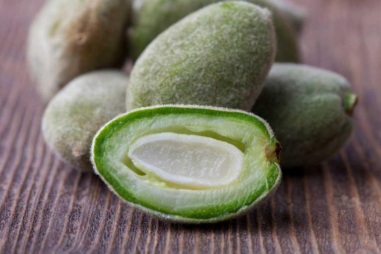 تناول الدجاج النيئ أو غير المطبوخ جيدا يؤدي للإصابة بالسالمونيلا