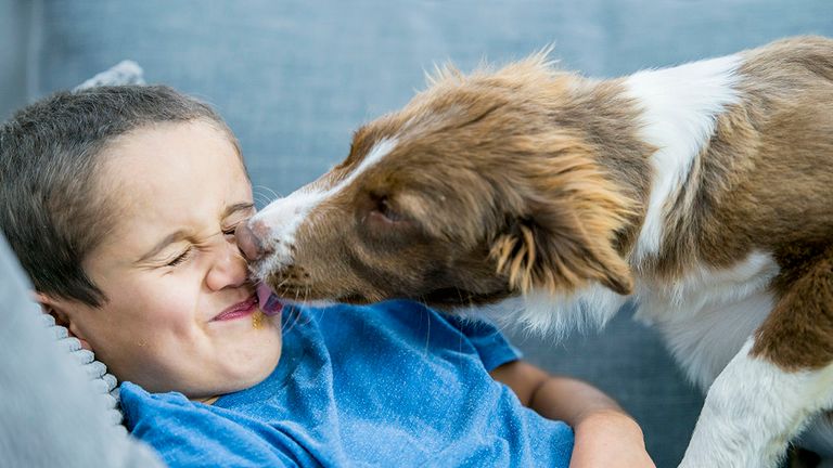 انتقال فيروس كورونا من الإنسان للحيوان - تعبيرية فيروس كورونا من الأمراض المعدية ذات المنشأ الحيواني