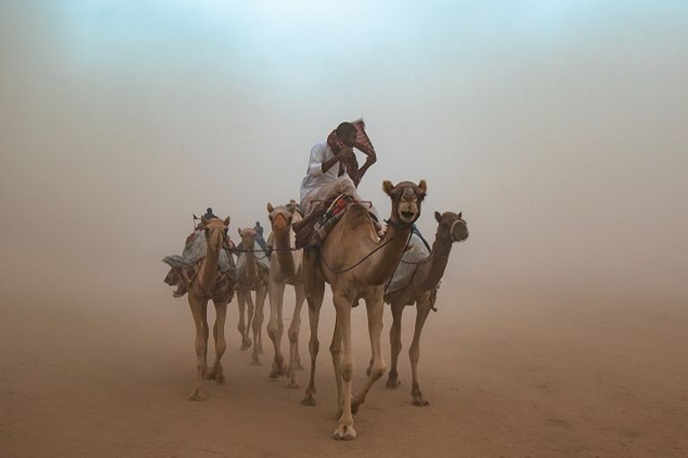 العدد يضم 32 صورة فوتوغرافية تسلط الضوء على جمالية وبهاء المملكة