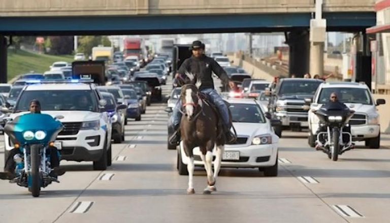 راعي البقر يمتطي حصانه على طريق سريعة في شيكاغو