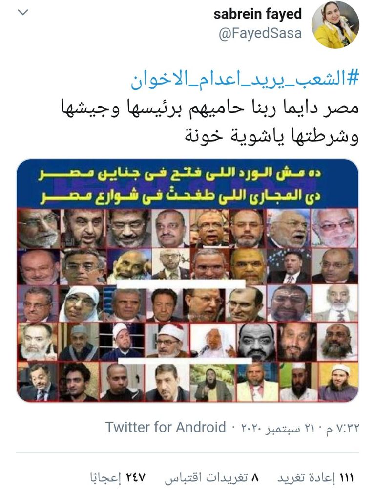 المصرييون يردون عمليا على دعاوى الإخوان التحريضية