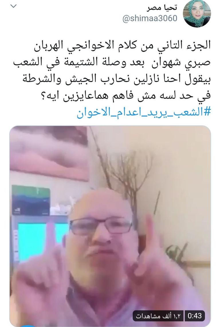 المصرييون يردون عمليا على دعاوى الإخوان التحريضية