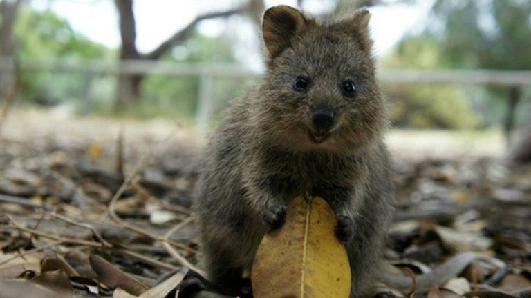 الدراسة لاحظت انخفاض ضغط الدم وضربات القلب للمشاركين