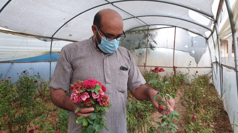 زراعة الورود في غزة