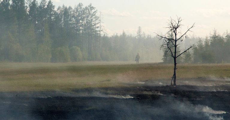 حرائق سيبيريا