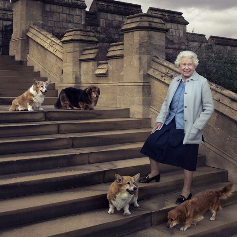 أفراد العائلة المالكة البريطانية