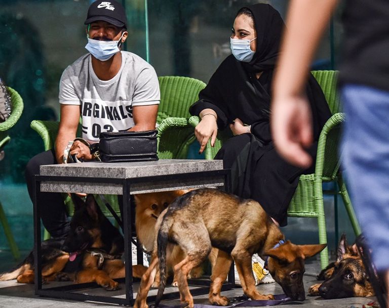 شبان وفتيات يتجمعون في المقهى للّعب مع كلاب بأحجام مختلفة