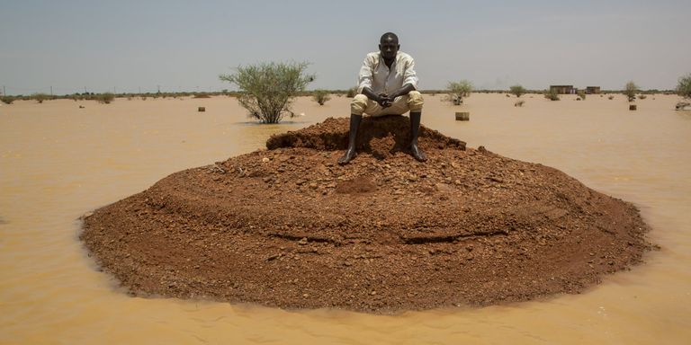 باق رجل سوداني يبلغ من العمر 80 عاما