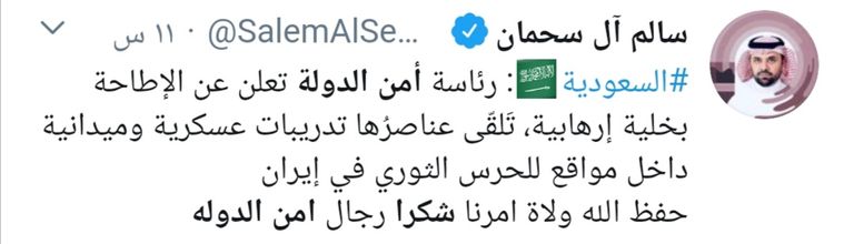 شعار رئاسة أمن الدولة في السعودية