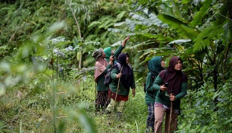 حارسات غابات في غابة بينير ميرياه بمقاطعة أتشيه الإندونيسية