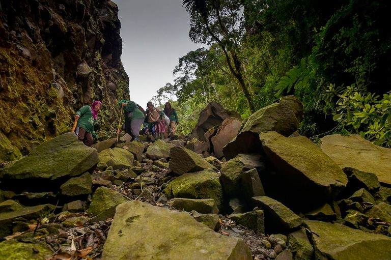 حارسات غابات في غابة بينير ميرياه بمقاطعة أتشيه الإندونيسية