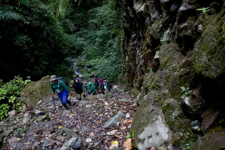 حارسات غابات في غابة بينير ميرياه بمقاطعة أتشيه الإندونيسية