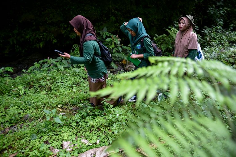 حارسات غابات في غابة بينير ميرياه بمقاطعة أتشيه الإندونيسية