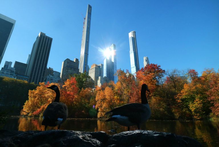 عقارات بيفرلي هيلز بكاليفورنيا مدينة نيويورك - أرشيفية