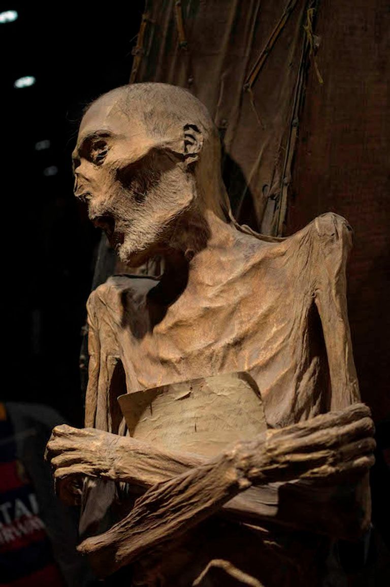 أكبر مجموعة مومياوات غير صناعية في العالم