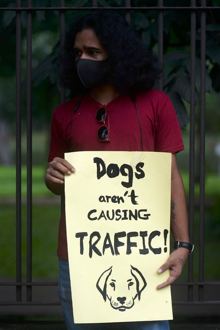 بنجلاديشي يجلس في حديقة منزله إلى جانب كلب صيد من نوع سراي