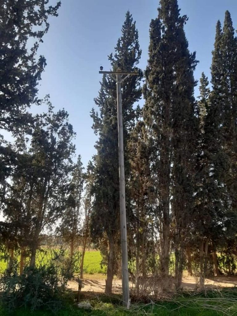 المليشيات تسرق أسلاك الكهرباء في طرابلس