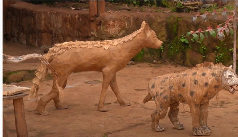 معرض الشاب الإثيوبي