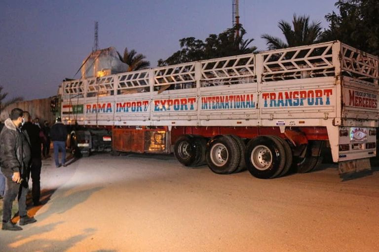 القافلة الطبية الإمارتية الثانية تصل غزة