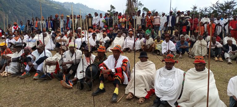 جانب من المشاركين في احتفال قومية جامو 