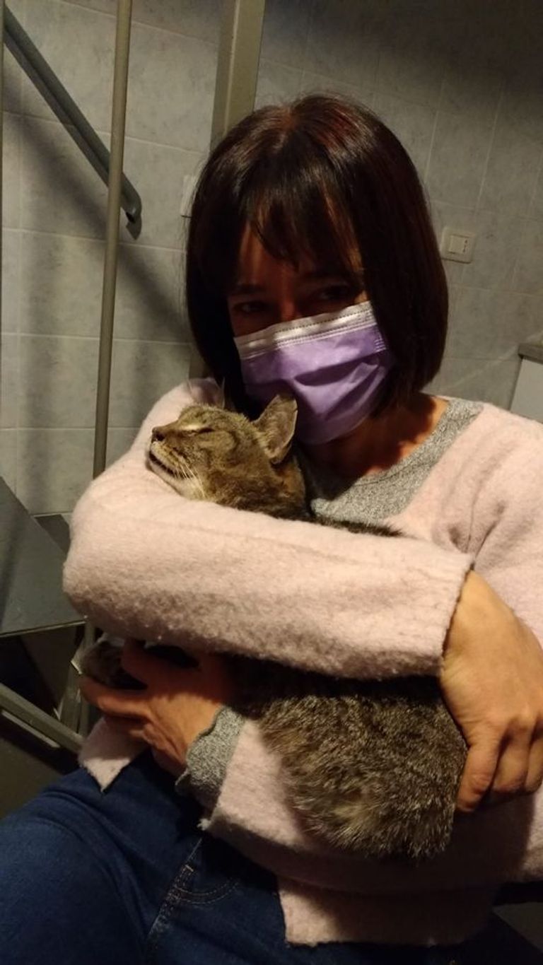 مونيكا فيريني مع قطها ماندارينو بعد العثور عليه