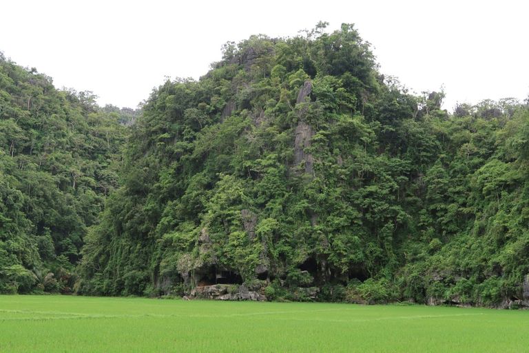 اللوحة الصخرية التي تم اكتشافها في مغارة