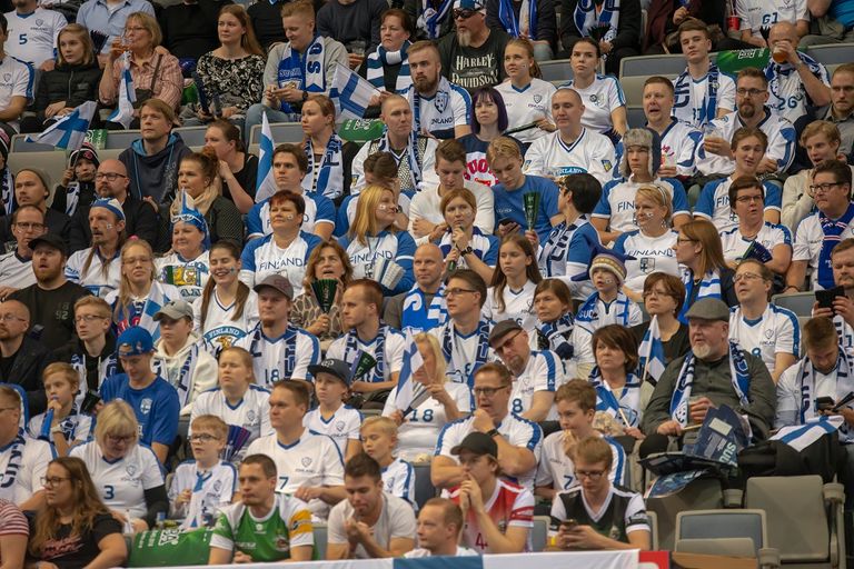 الجماهير الفنلندية