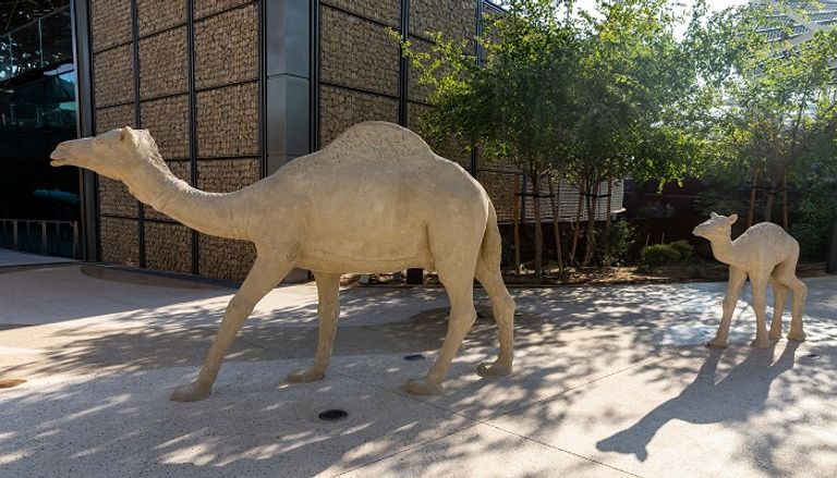 جناح الاستدامة 