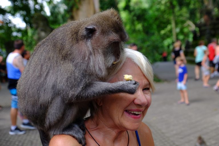 قرد يمسك هاتفا محمولا بانتظار الفدية