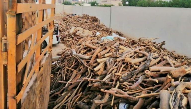 بيع الحطب بات مخالفة تستوجب العقاب في السعودية