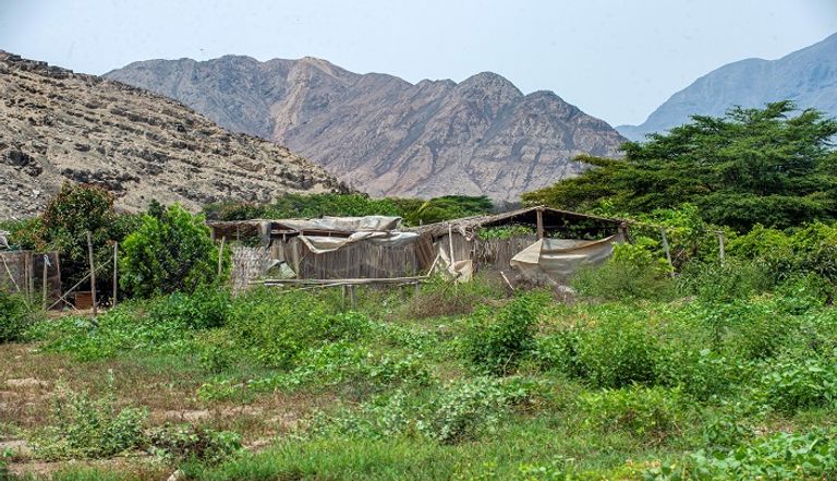 موقع أثري في مدينة كارال بالبيرو