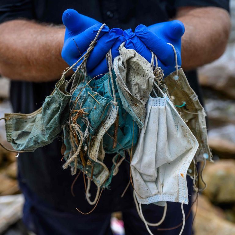 الكمامات المستخدمة تهدد حياة الحيوانات