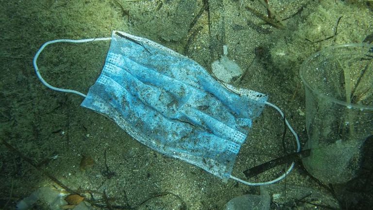 الكمامات المستخدمة تهدد حياة الحيوانات