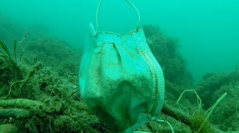 الكمامات المستخدمة تهدد حياة الحيوانات