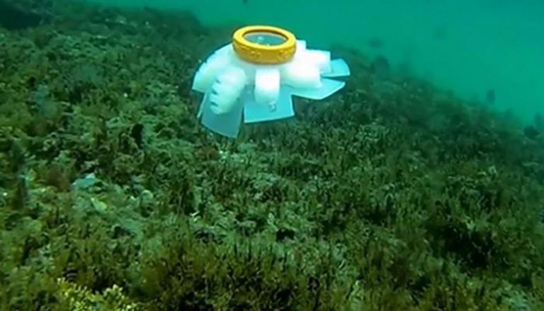قنديل بحر روبوت لإنقاذ الشعاب المرجانية