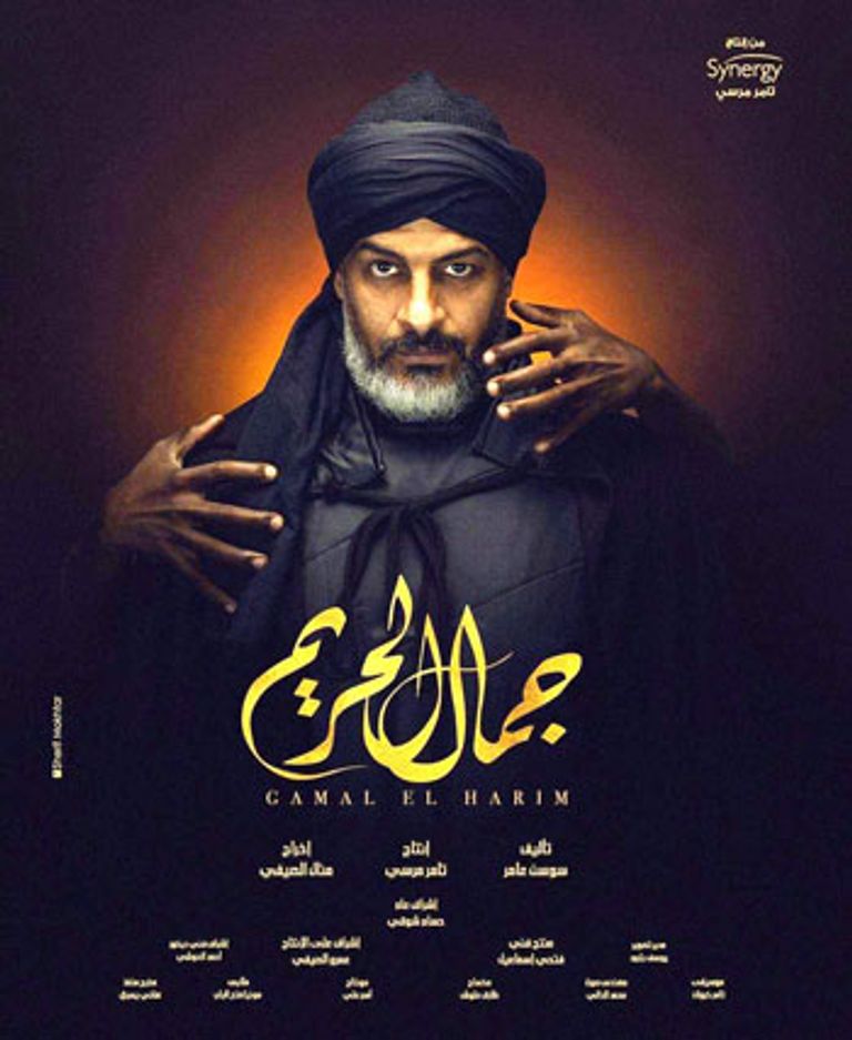 الفنان أشرف مصيلحي