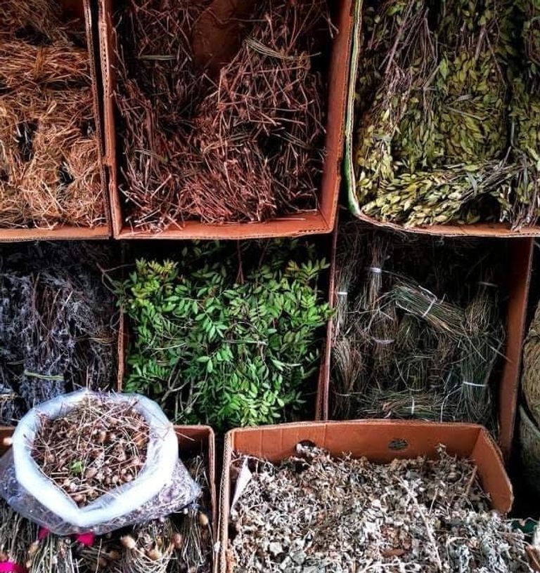 بعض الأعشاب التي يتم بيعها في سوق البلاط بتونس
