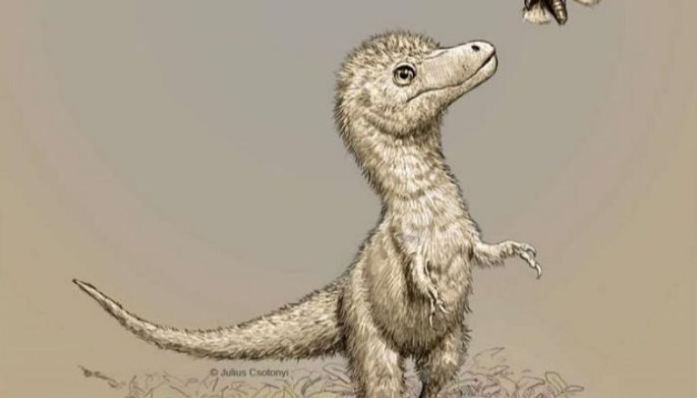تصور لشكل التيرانوصورات عند الولادة