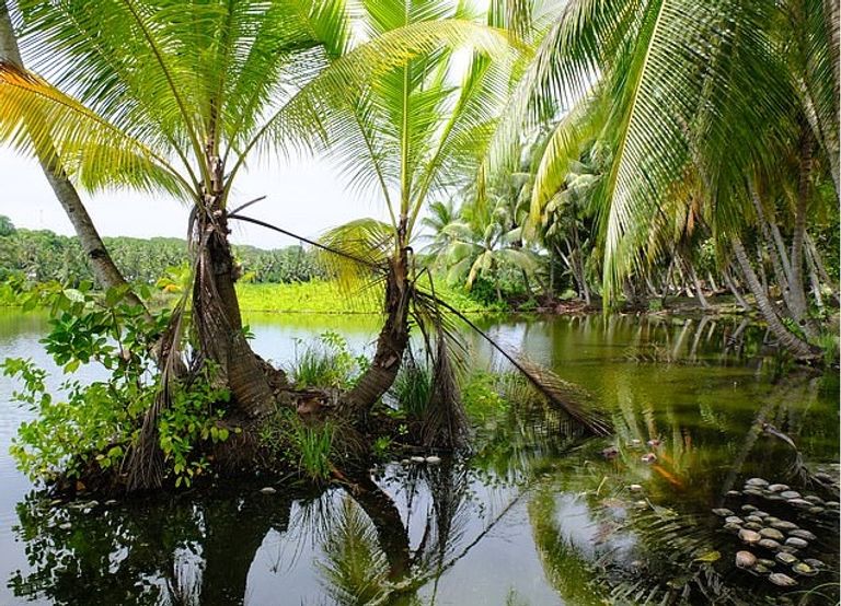 أحد شواطئ ولايات ميكرونيزيا