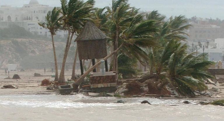 الإعصار شاهين