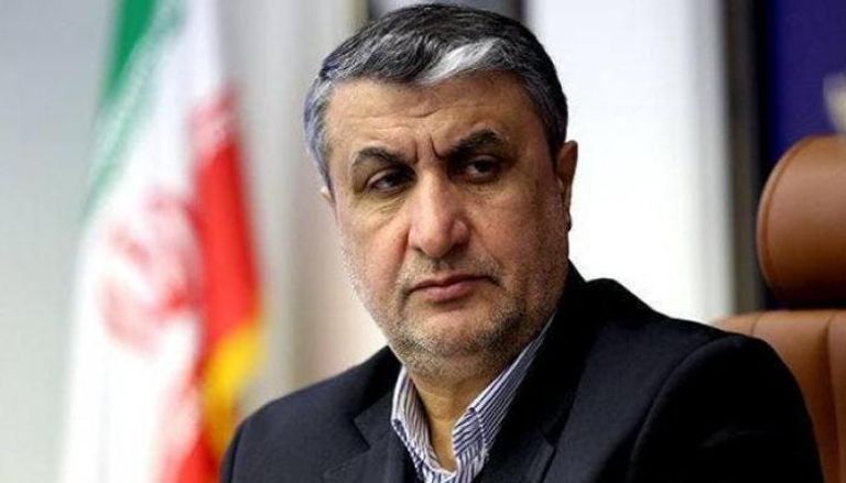 رئيس منظمة الطاقة النووية الإيرانية محمد إسلامي