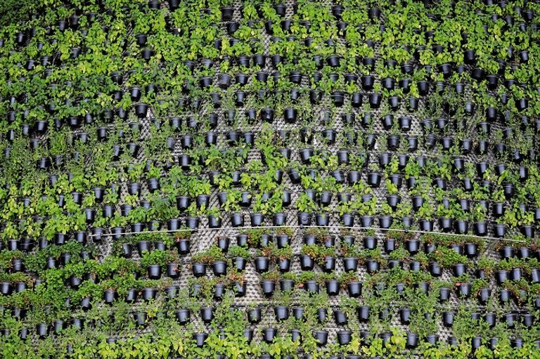 جناح سنغافورة في معرض دبي إكسبو 2020 في دبي - رويترز